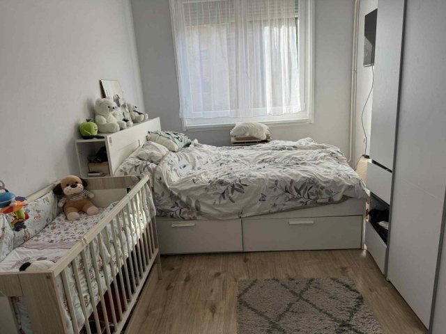 Eladó téglalakás, Kecskeméten 49.9 M Ft, 3 szobás