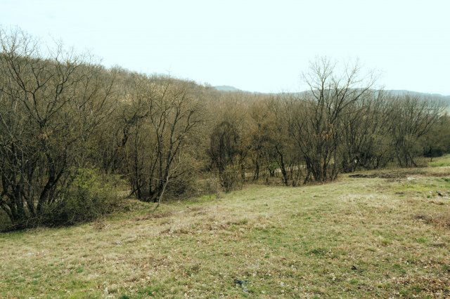 Eladó telek, Balatonszőlősön 40 M Ft / költözzbe.hu