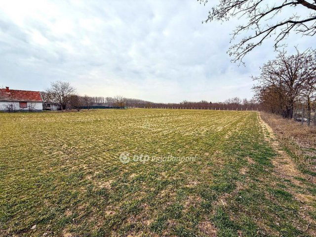 Eladó telek, Csemőn 2.99 M Ft / költözzbe.hu
