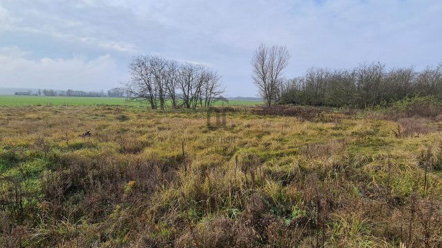 Eladó telek, Tüskeváron 9 M Ft / költözzbe.hu