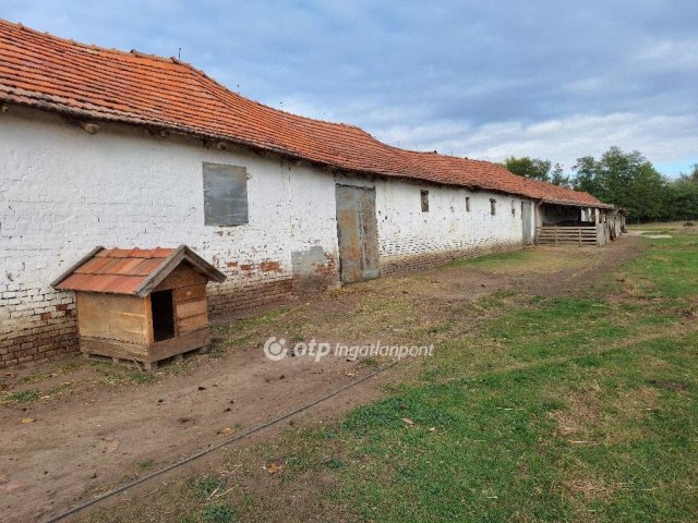 Eladó mezogazdasagi ingatlan, Kunmadarason 29.99 M Ft