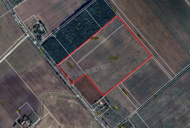 Eladó mezogazdasagi ingatlan, Balástyán 9.9 M Ft
