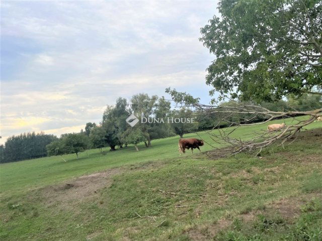 Eladó mezogazdasagi ingatlan, Pilisen 8 M Ft / költözzbe.hu