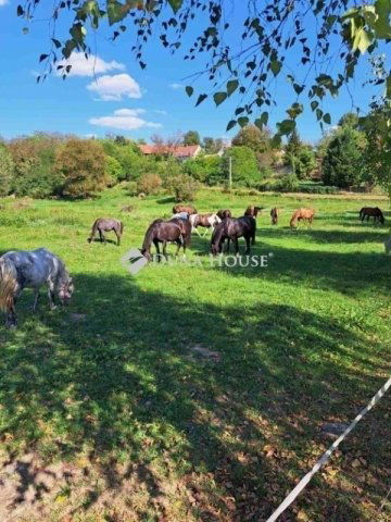 Eladó mezogazdasagi ingatlan, Egerágon 159 M Ft, 5 szobás