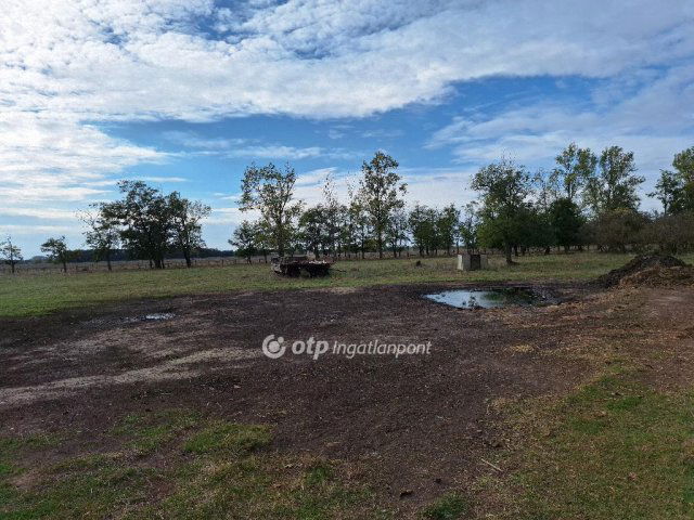 Eladó mezogazdasagi ingatlan, Kunmadarason 29.99 M Ft