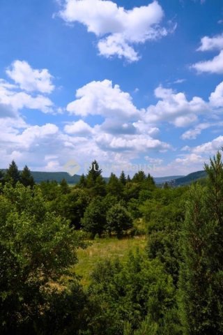 Kiadó családi ház, albérlet, Budapesten, II. kerületben