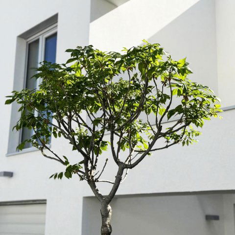 Eladó téglalakás, Nyíregyházán, Törzs utcában 62.9 M Ft