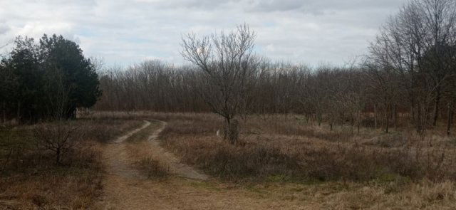 Eladó mezogazdasagi ingatlan, Csemőn 2.8 M Ft