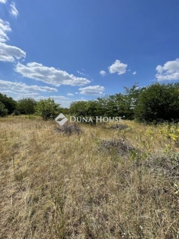 Eladó telek, Szadán 42 M Ft / költözzbe.hu