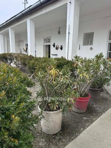 Eladó családi ház, Dunapatajon 19 M Ft, 4 szobás