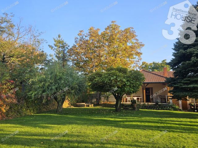 Eladó mezogazdasagi ingatlan, Kiskunfélegyházán 35 M Ft