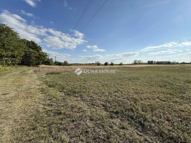 Eladó mezogazdasagi ingatlan, Orgoványon 79.9 M Ft, 3 szobás