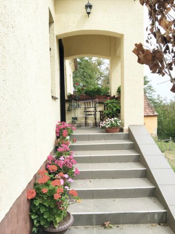 Eladó családi ház, Kustánszegen 35 M Ft, 2 szobás