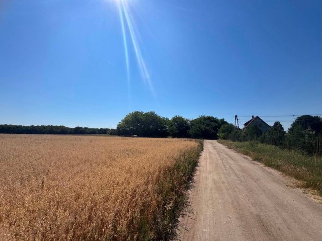 Eladó telek, Dömsödön 6.9 M Ft / költözzbe.hu