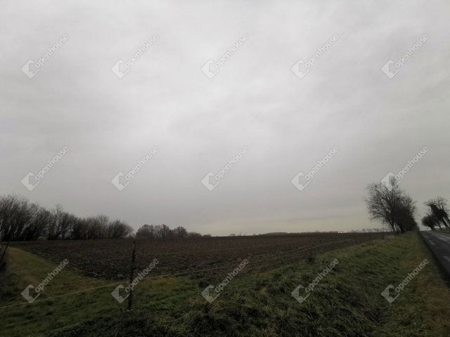 Eladó mezogazdasagi ingatlan, Sármelléken 10.2 M Ft