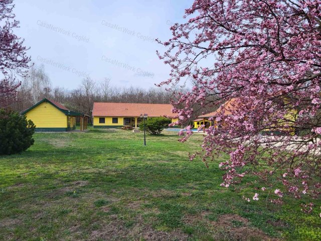 Eladó mezogazdasagi ingatlan, Nagykőrösön 75 M Ft, 4 szobás