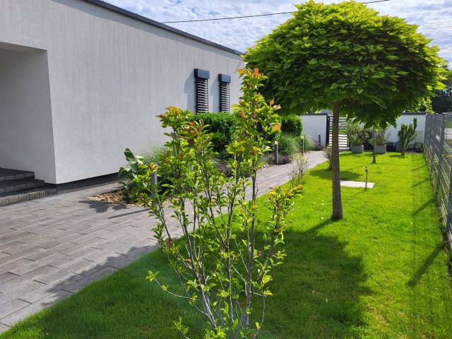 Eladó családi ház, Székesfehérvárott 219 M Ft, 4 szobás