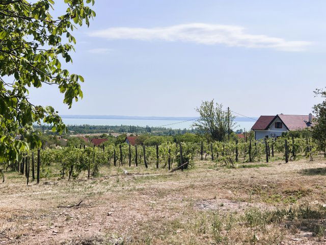 Eladó telek, Lovason 94.99 M Ft / költözzbe.hu