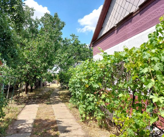 Eladó családi ház, Zagyvarékason 21.5 M Ft, 3 szobás