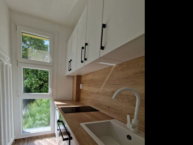 Kiadó panellakás, albérlet, Pécsett, Anikó utcában, 1+1 szobás