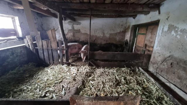 Eladó mezogazdasagi ingatlan, Kőröstetétlenen 9.5 M Ft, 2 szobás