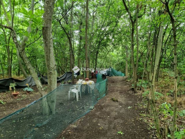 Eladó telek, Tóalmáson 7 M Ft / költözzbe.hu