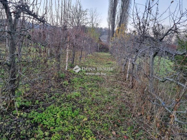 Eladó telek, Mecseknádasdon 12 M Ft / költözzbe.hu