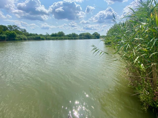 Eladó mezogazdasagi ingatlan, Békésszentandráson 12.5 M Ft