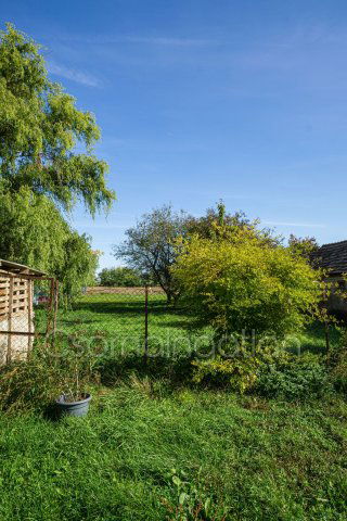 Eladó családi ház, Farádon 45 M Ft, 3 szobás