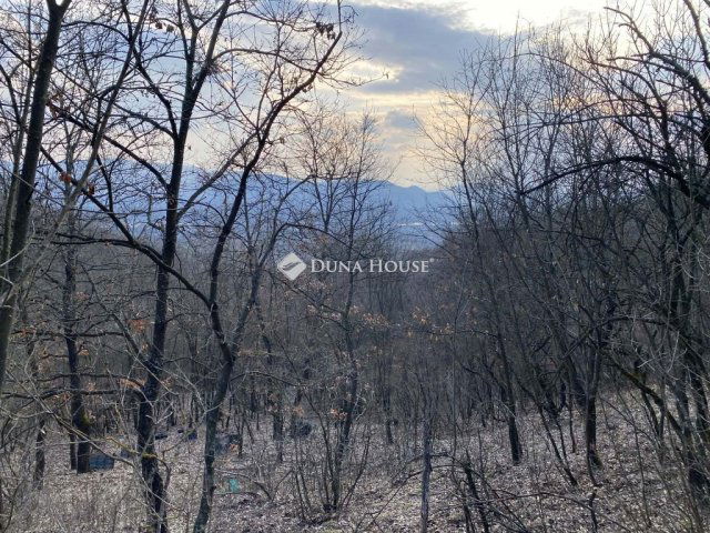 Eladó telek, Verőcén 59.9 M Ft / költözzbe.hu