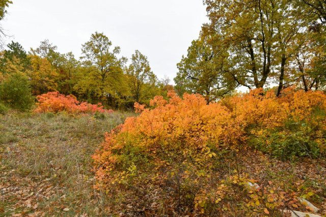 Eladó telek, Pécselyen 24.99 M Ft / költözzbe.hu