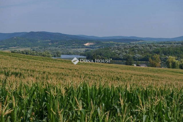 Eladó telek, Pilisborosjenőn 66 M Ft / költözzbe.hu