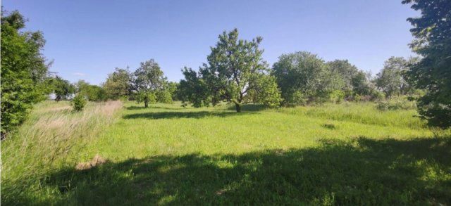 Eladó telek, Sajóvámoson 1.5 M Ft / költözzbe.hu