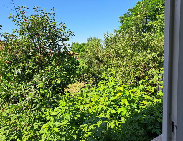 Eladó családi ház, Csányon 35.5 M Ft, 3+1 szobás