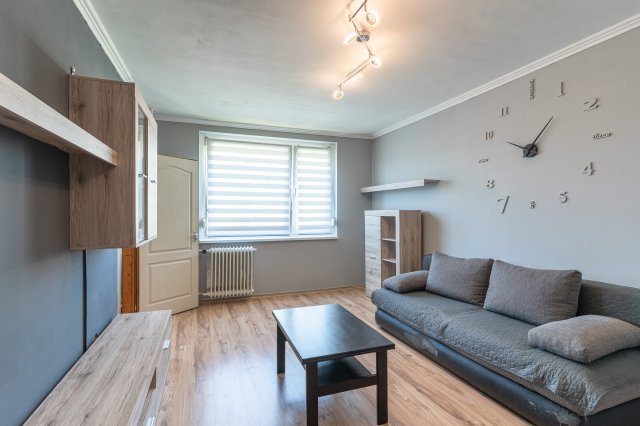 Kiadó panellakás, albérlet, Miskolcon, Herman Ottó utcában