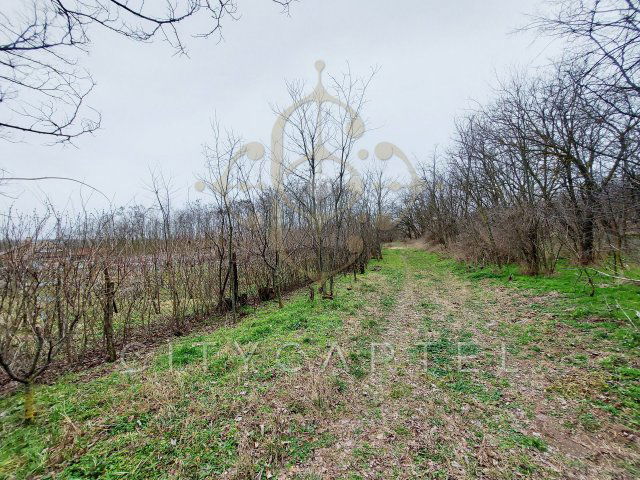Eladó telek, Bölcskén 2.7 M Ft / költözzbe.hu