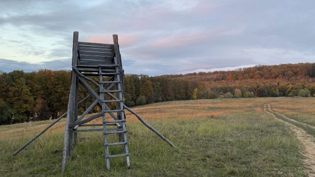 Eladó ipari ingatlan, Bakonyjákón 1745.424 M Ft