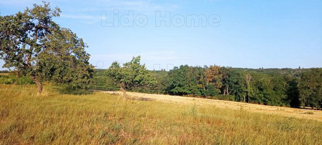 Eladó mezogazdasagi ingatlan, Kehidakustányban 9.49 M Ft