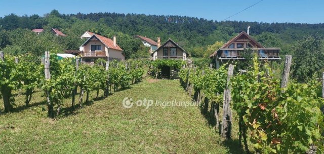 Eladó mezogazdasagi ingatlan, Magyarpolányban 15.5 M Ft