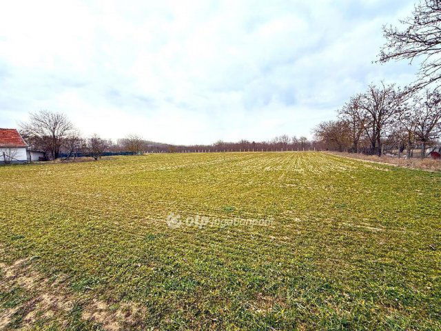 Eladó telek, Csemőn 2.99 M Ft / költözzbe.hu