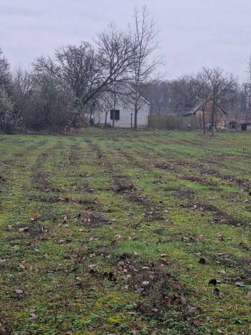 Eladó családi ház, Dabason 25 M Ft, 1 szobás