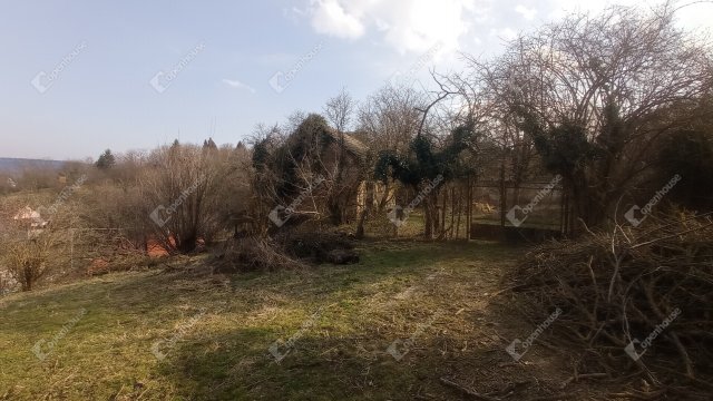 Eladó családi ház, Zalaegerszegen 11.5 M Ft, 1 szobás