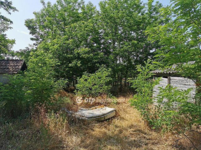 Eladó mezogazdasagi ingatlan, Albertirsán 37.5 M Ft, 3 szobás