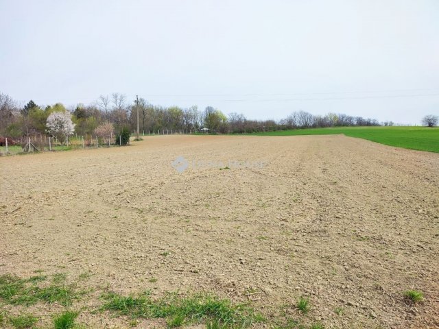 Eladó telek, Pannonhalmán 53 M Ft / költözzbe.hu