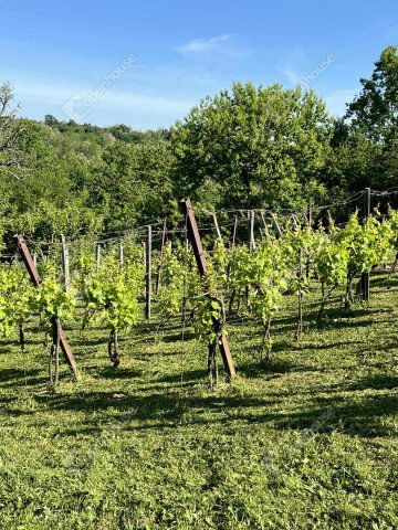 Eladó telek, Csatáron 8.3 M Ft / költözzbe.hu