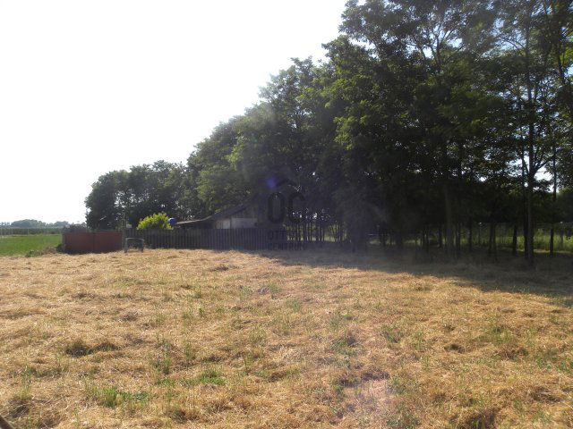 Eladó mezogazdasagi ingatlan, Mohácson 3.9 M Ft