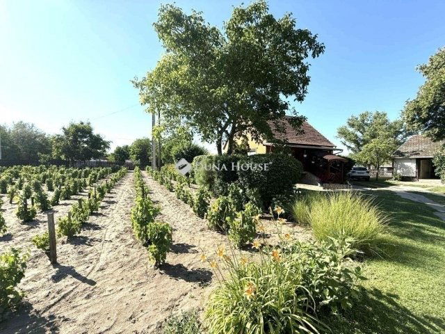 Eladó családi ház, Kecskeméten 54.9 M Ft, 2 szobás