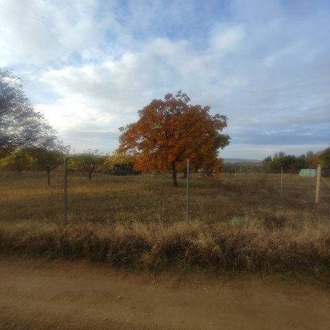 Eladó telek, Sülysápon 14.9 M Ft / költözzbe.hu