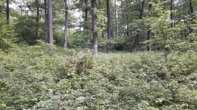 Eladó telek, Felsőtárkányban 250 M Ft / költözzbe.hu