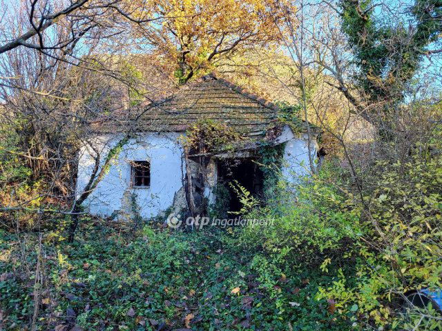 Eladó mezogazdasagi ingatlan, Gyulakeszin 19 M Ft